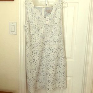 Brand new! Loft White & light blue lace dress